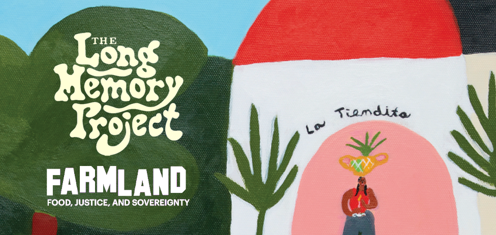 Long Memory Project: Farmland Opening Reception